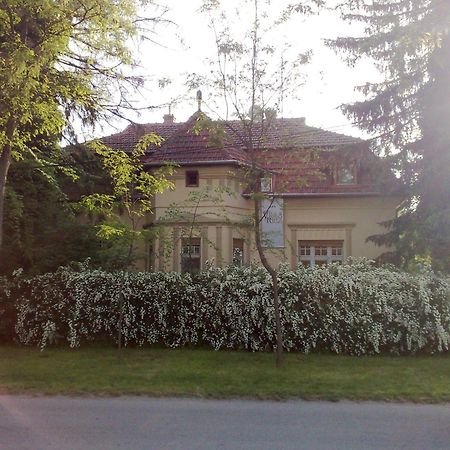 Villa Ricz Palić Dış mekan fotoğraf