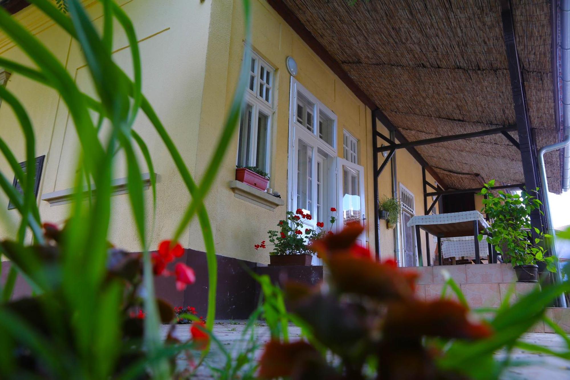Villa Ricz Palić Dış mekan fotoğraf