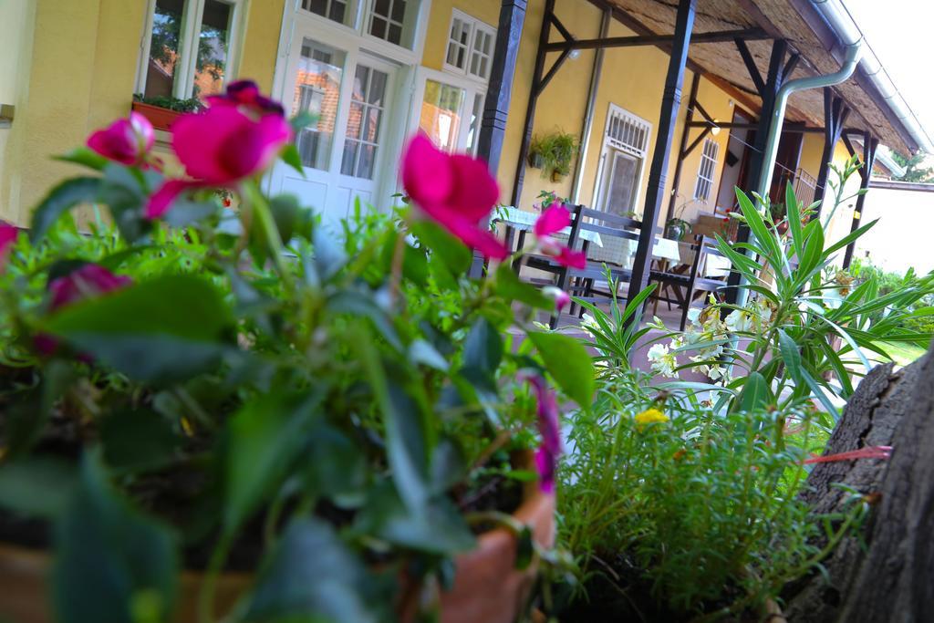 Villa Ricz Palić Dış mekan fotoğraf