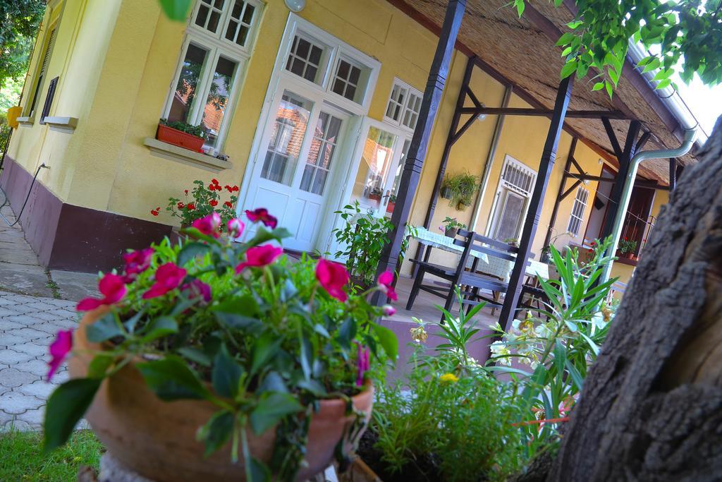 Villa Ricz Palić Dış mekan fotoğraf